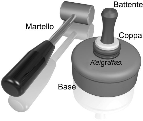 midi set